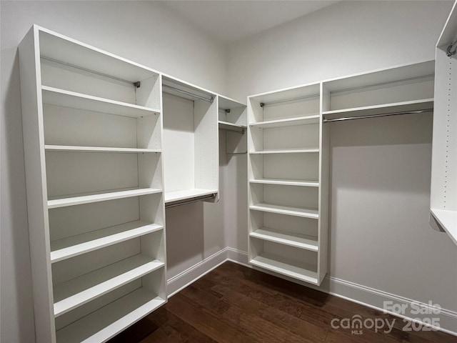 walk in closet featuring dark wood-style flooring