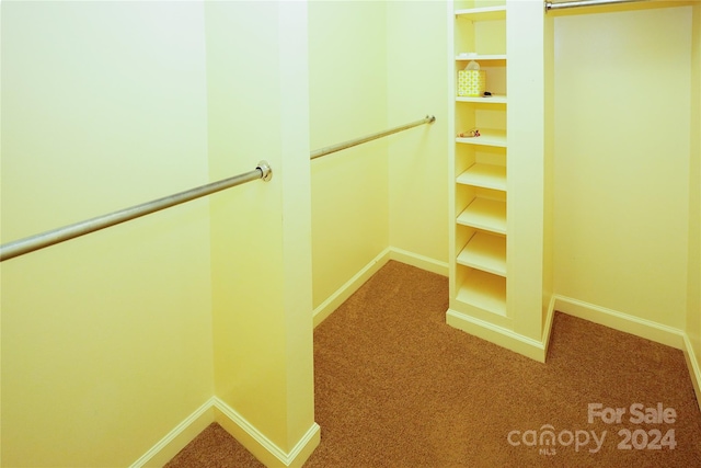 spacious closet with carpet floors