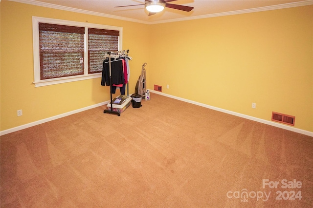 exercise room featuring crown molding, carpet, and ceiling fan