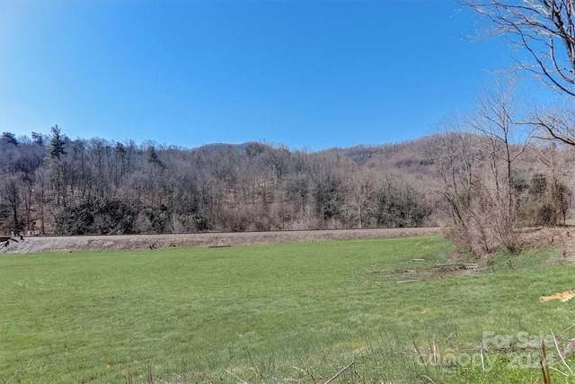 9999 Smokey Park Hwy, Candler NC, 28715 land for sale