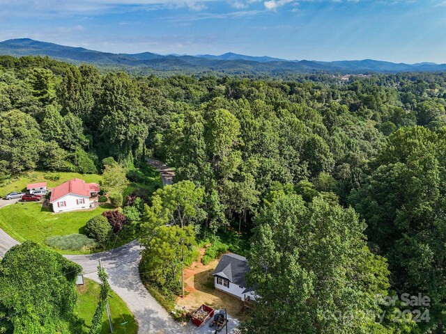 bird's eye view with a mountain view