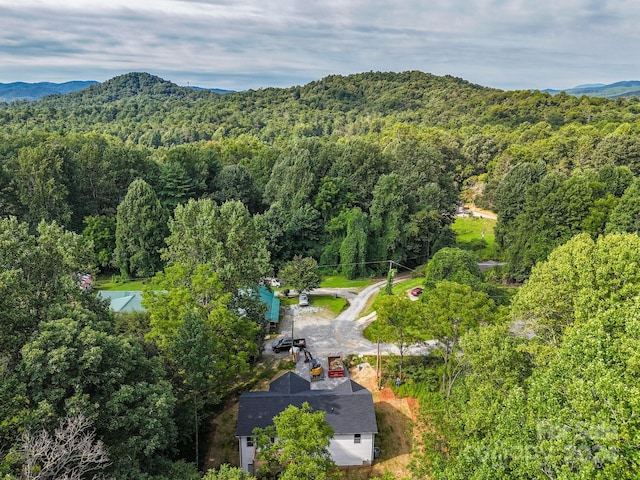 birds eye view of property featuring a mountain view