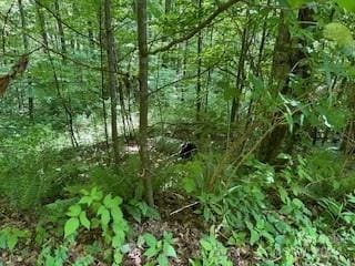 Listing photo 3 for 00 Wolverine Ct, Waynesville NC 28785