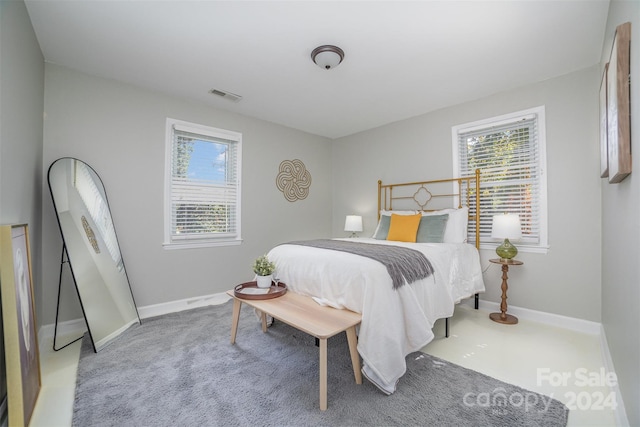 carpeted bedroom with multiple windows