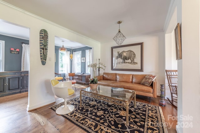 living room featuring ornamental molding and hardwood / wood-style flooring