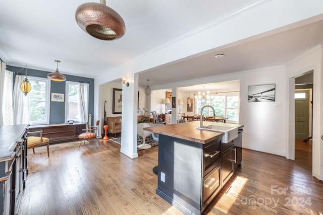 kitchen with a center island with sink, a chandelier, wood-type flooring, sink, and decorative light fixtures