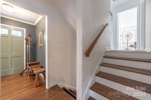 stairs featuring ornamental molding and hardwood / wood-style flooring