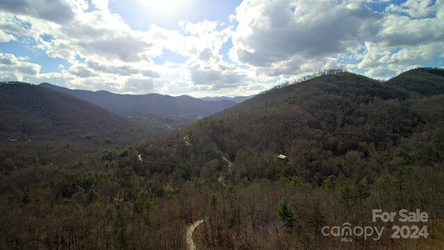 000 Stone Pillow Rd, Tuckasegee NC, 28783 land for sale