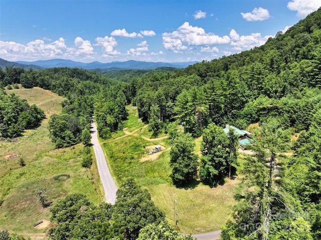 aerial view with a mountain view