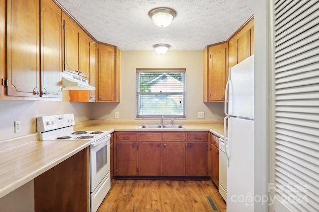 kitchen with light hardwood / wood-style floors, sink, a textured ceiling, and white appliances