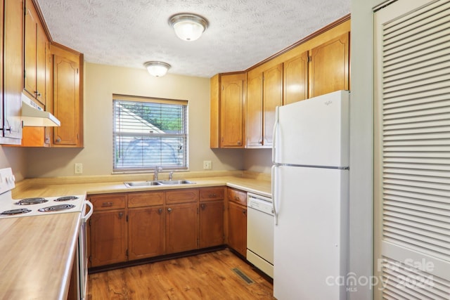 kitchen featuring sink, light wood-type flooring, white appliances, and a textured ceiling