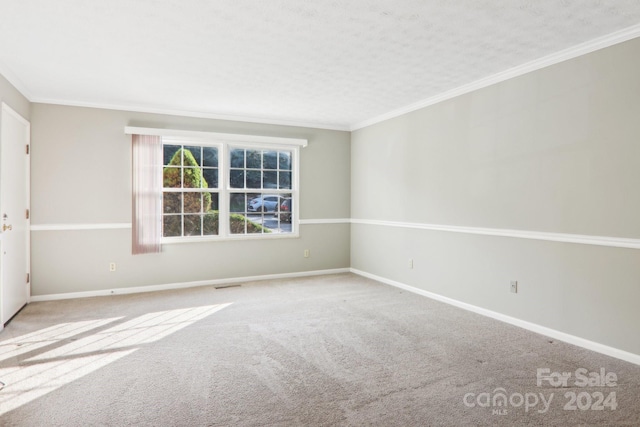 spare room with a textured ceiling, carpet, and ornamental molding