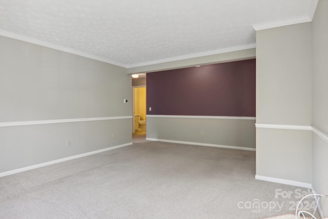 empty room with crown molding, carpet, and a textured ceiling