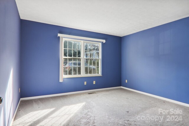 spare room featuring carpet flooring