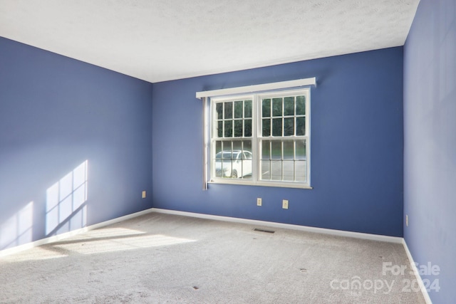 unfurnished room with carpet, a textured ceiling, and plenty of natural light