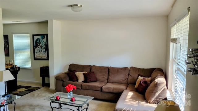 living room with carpet floors, a wealth of natural light, and baseboards