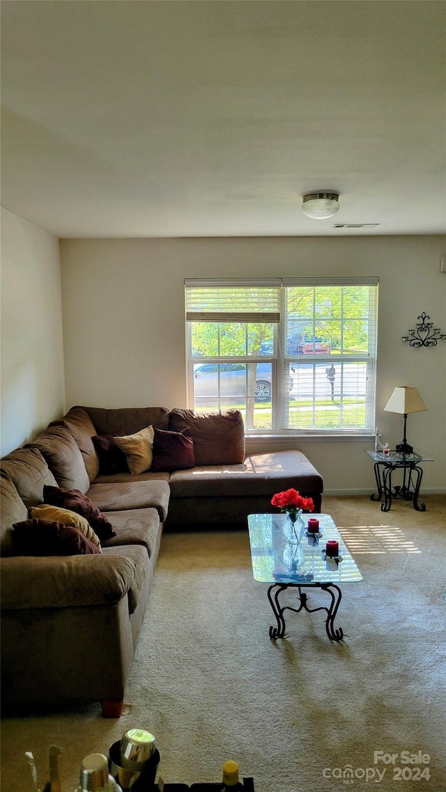 view of carpeted living room