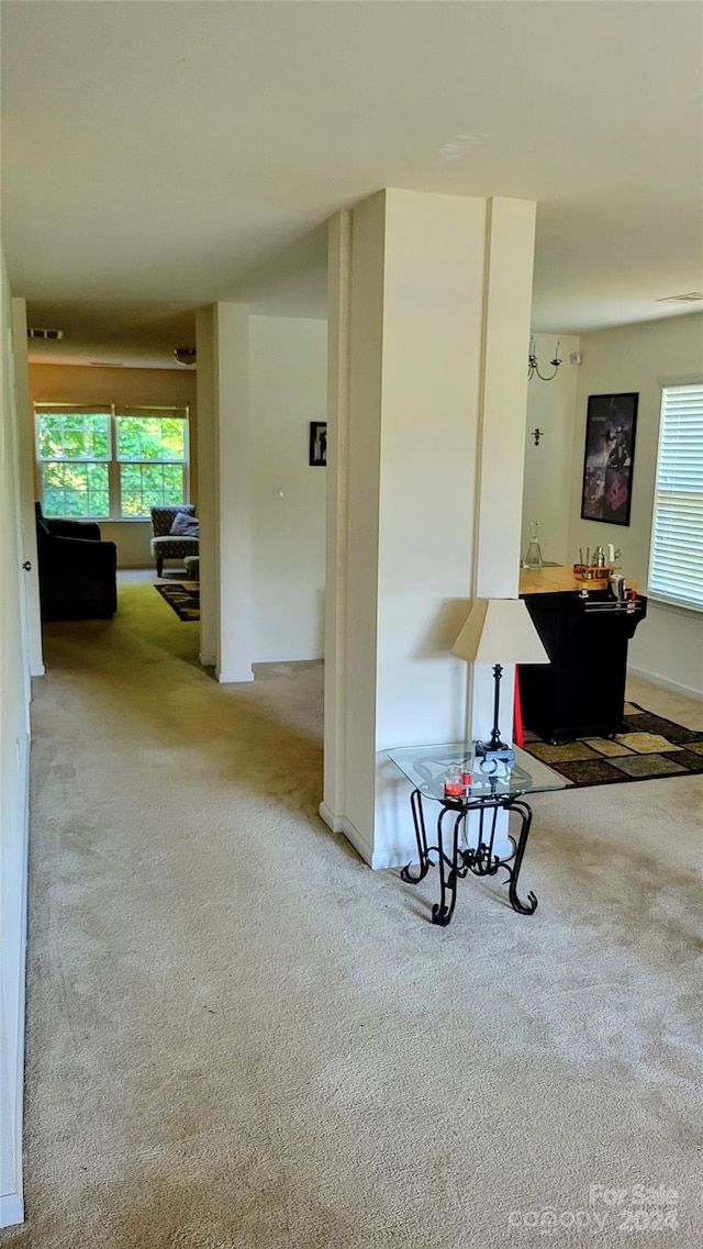 hall featuring a wealth of natural light and carpet flooring