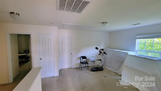 misc room featuring carpet flooring and visible vents