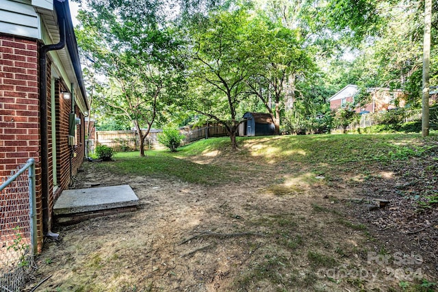 view of yard with a storage shed