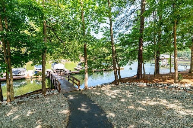 dock area with a water view