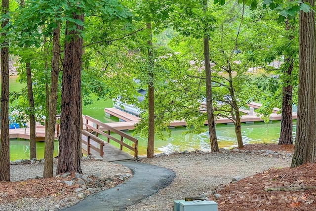 view of community featuring a water view and a boat dock