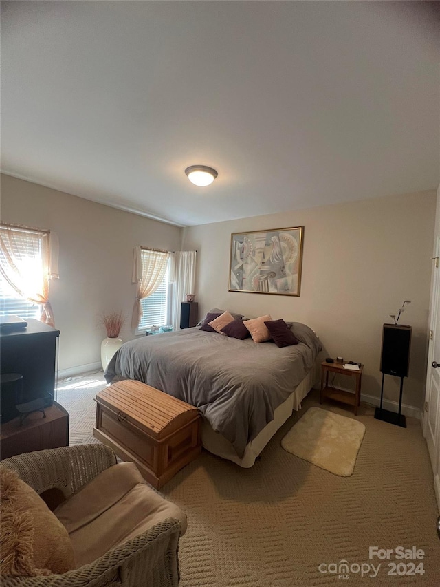 bedroom with carpet