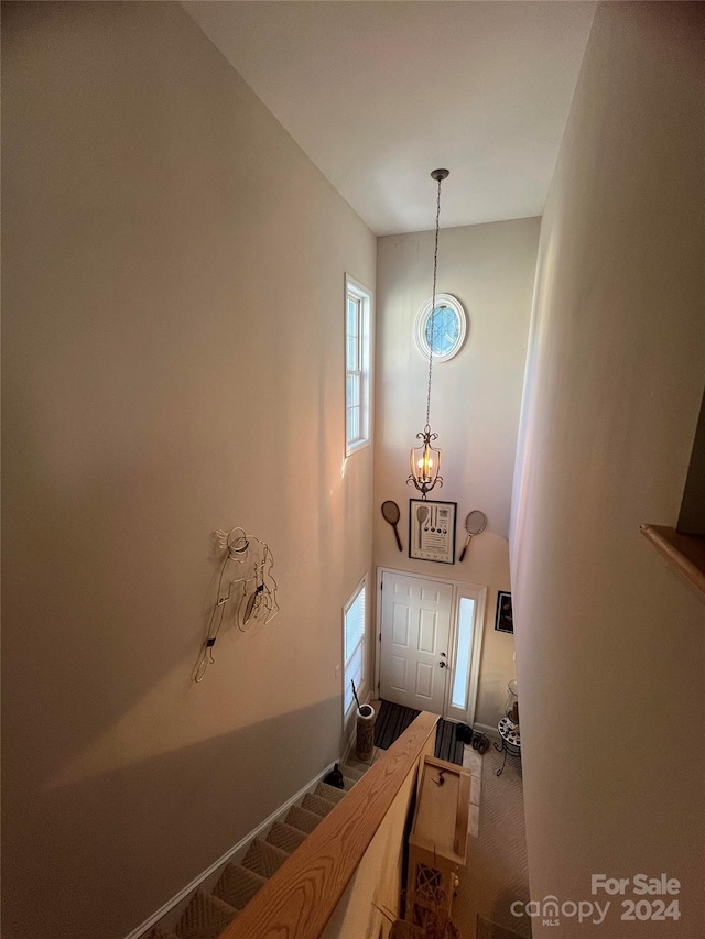 entryway with carpet flooring and a high ceiling