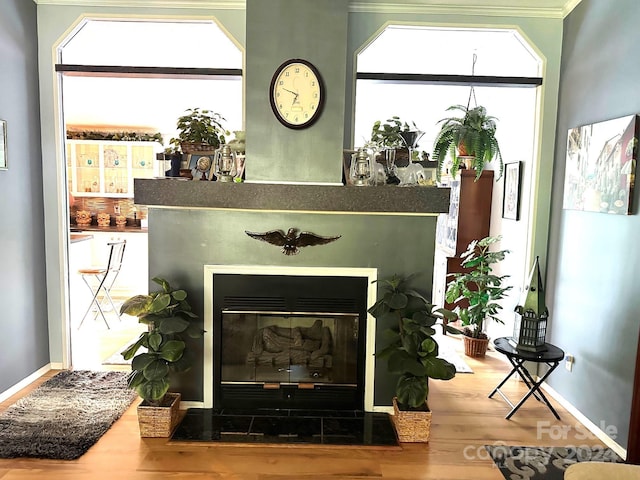 interior details with wood-type flooring and crown molding