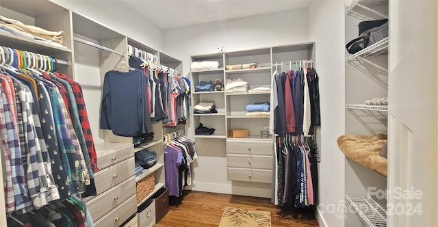 spacious closet with dark wood-type flooring