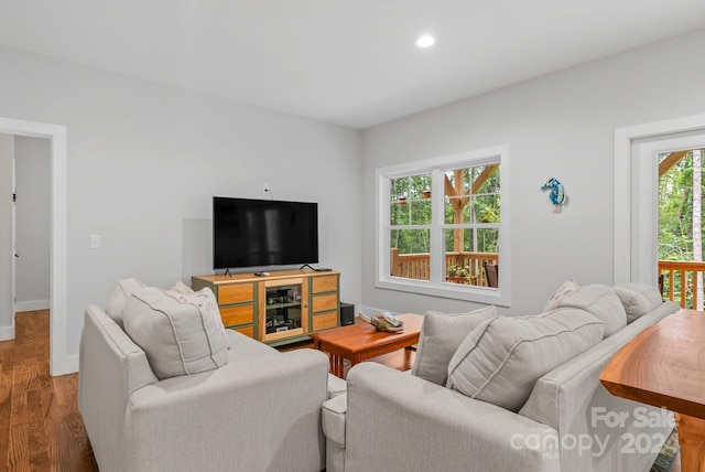 living room featuring hardwood / wood-style floors and plenty of natural light