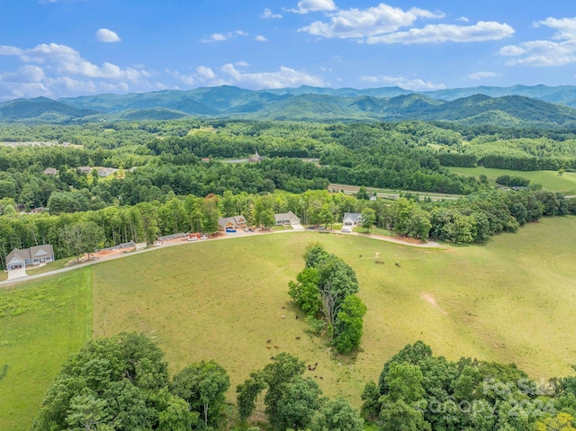 birds eye view of property with a mountain view