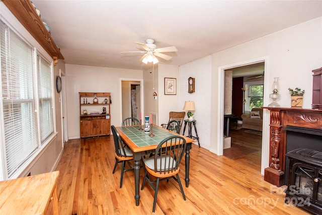 dining room featuring light hardwood / wood-style flooring and ceiling fan