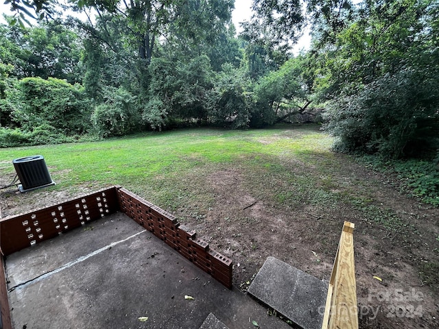 view of yard featuring a patio