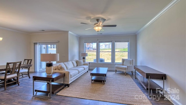 living room featuring a wealth of natural light, hardwood / wood-style flooring, crown molding, and ceiling fan