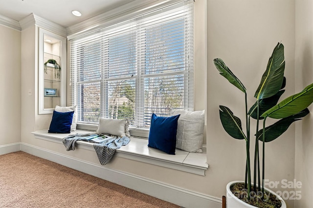 living area with carpet floors, ornamental molding, and baseboards