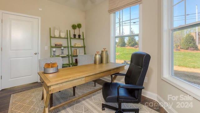 office space featuring wood-type flooring