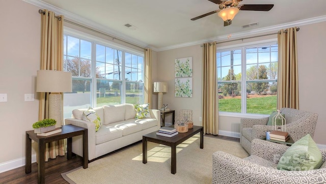 interior space featuring ceiling fan, ornamental molding, and hardwood / wood-style floors