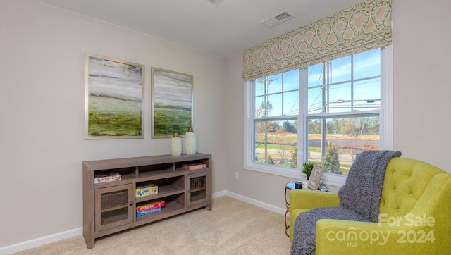 living area with carpet floors