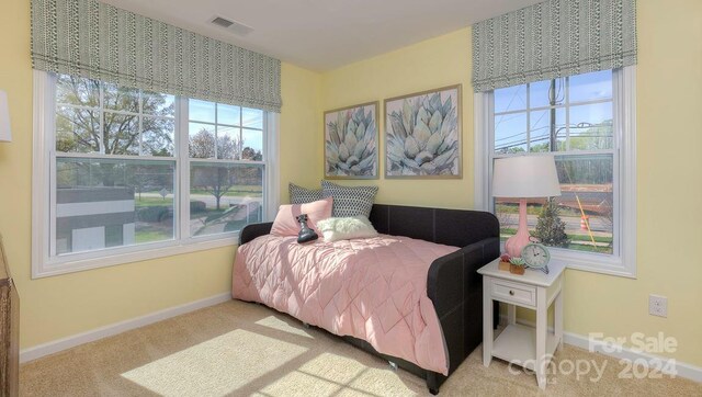 bedroom featuring carpet floors