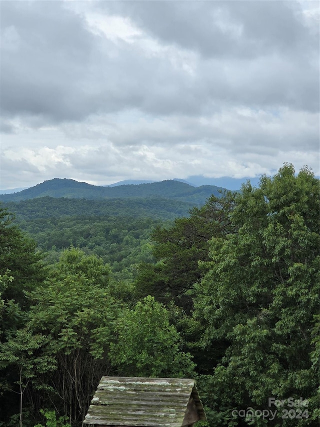 property view of mountains featuring a view of trees