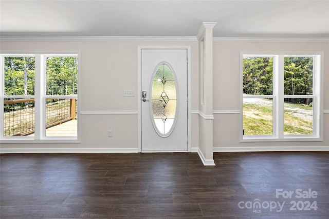 entrance foyer featuring ornamental molding, dark wood-type flooring, and baseboards