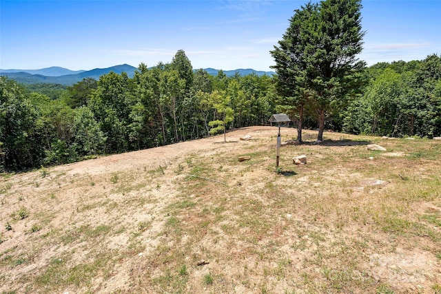 view of yard featuring a forest view and a mountain view