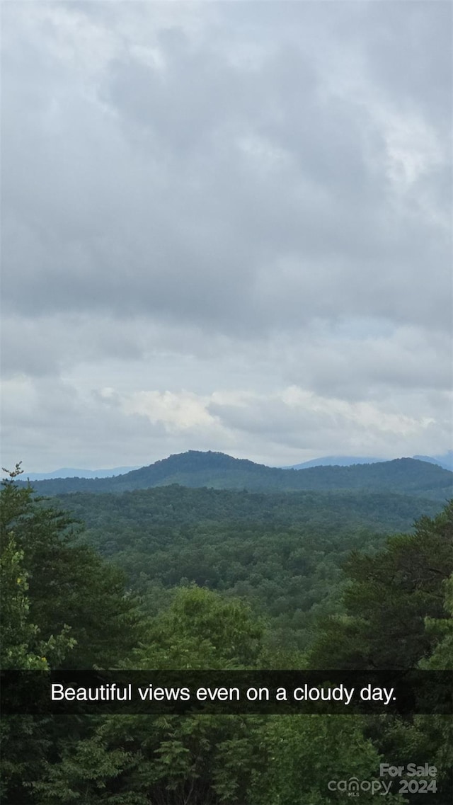 property view of mountains with a forest view