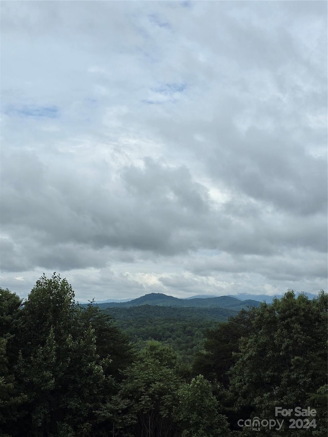 property view of mountains with a view of trees