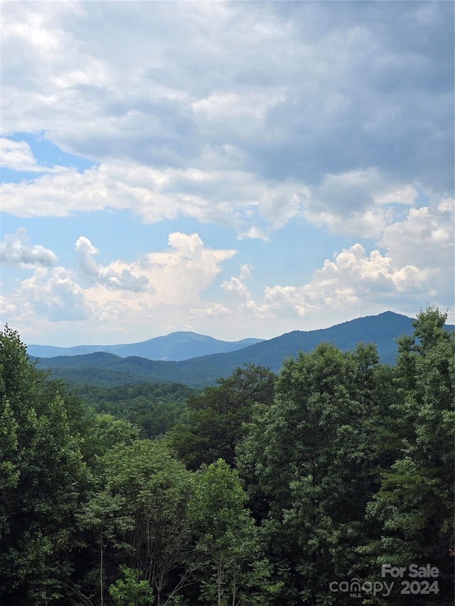 view of mountain feature with a forest view