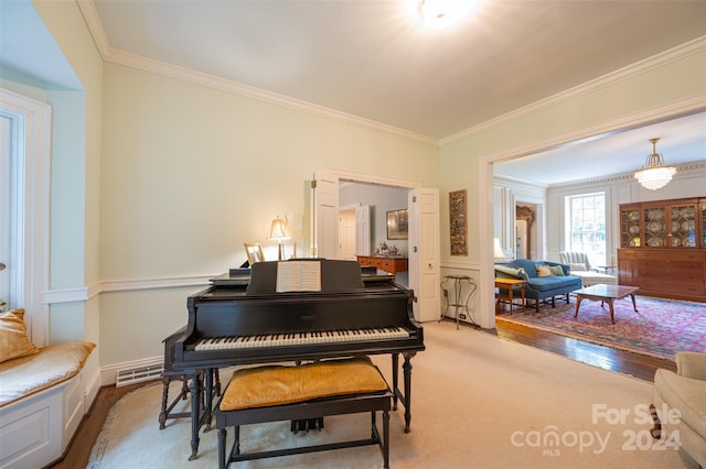 miscellaneous room featuring ornamental molding