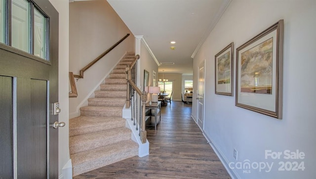 entryway with dark wood-type flooring, ornamental molding, and a chandelier