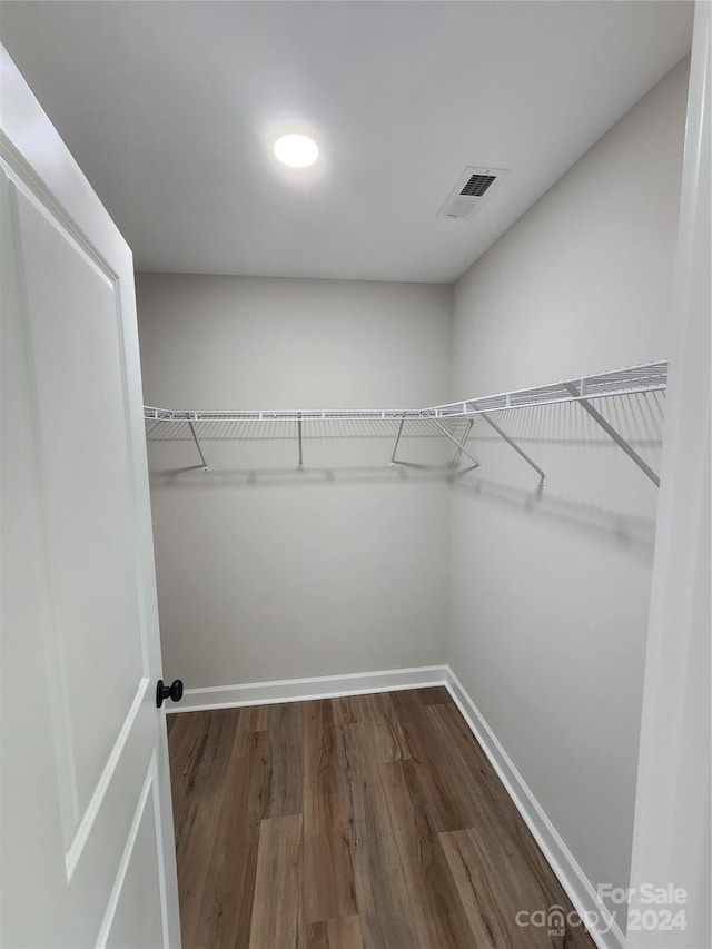 spacious closet featuring wood-type flooring