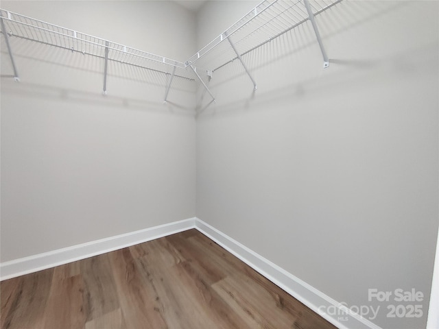 walk in closet featuring dark wood finished floors